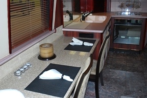 1996 PREVOST XL45 PARLIAMENT CONVERSION USED PREVOST BUS FOR SALE