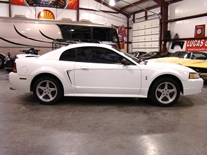 1999 FORD MUSTANG SVT COBRA ** sale pending **